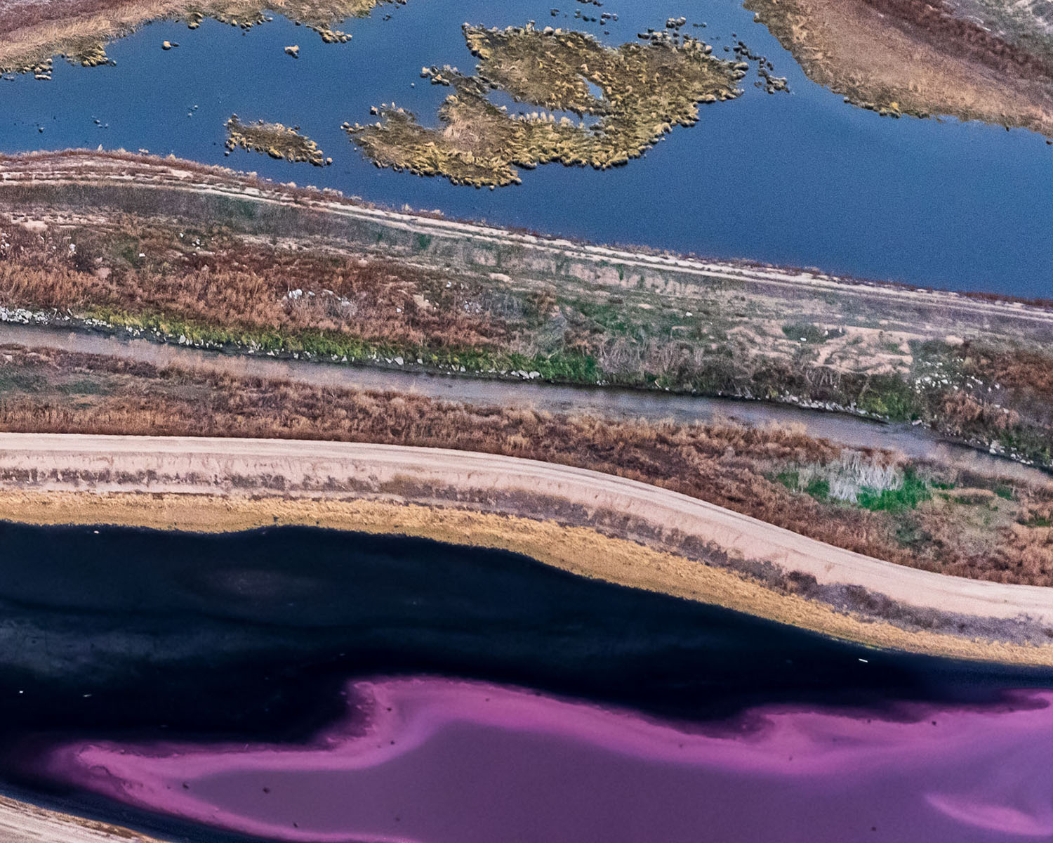 Purple Sulphur Bacteria Pond Colorado